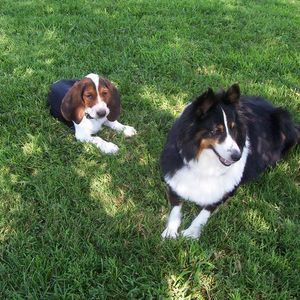 Meet your Posher, Joanne